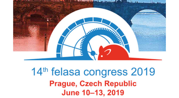 Felasa 2019